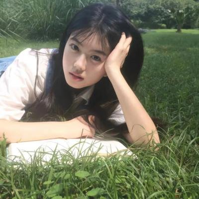 拯救林肯